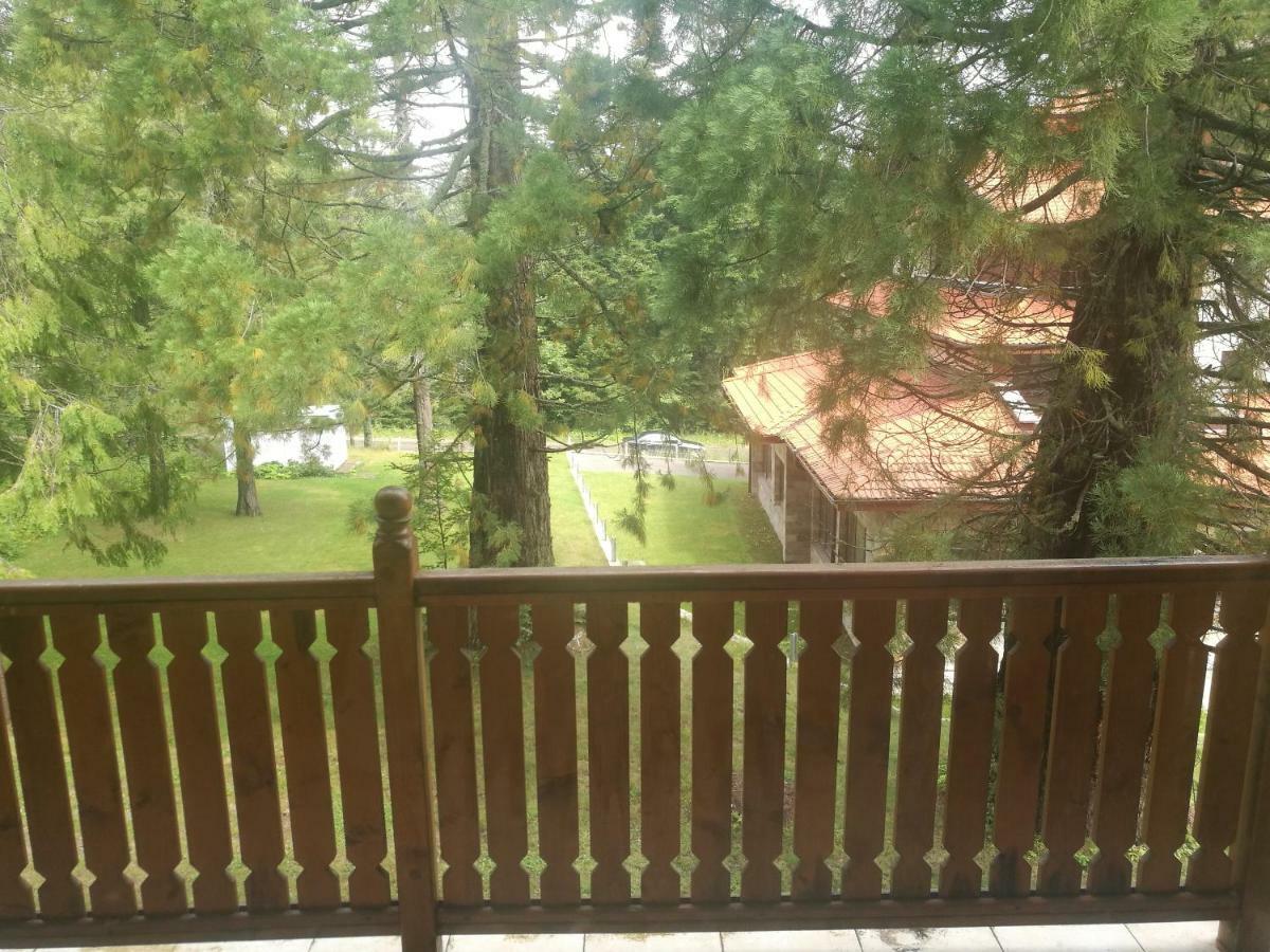 Luxury Apartament In "Sequoia" 2 Borovets Dış mekan fotoğraf