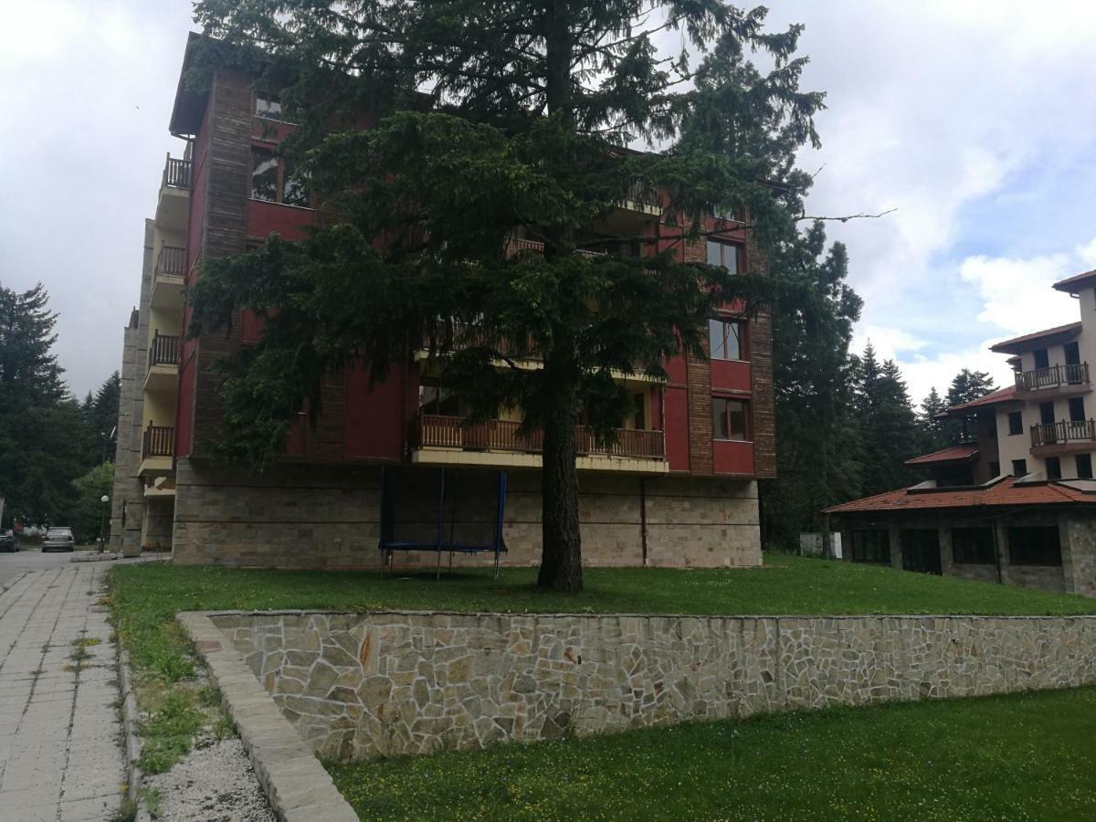 Luxury Apartament In "Sequoia" 2 Borovets Dış mekan fotoğraf